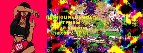 бошки Гусь-Хрустальный