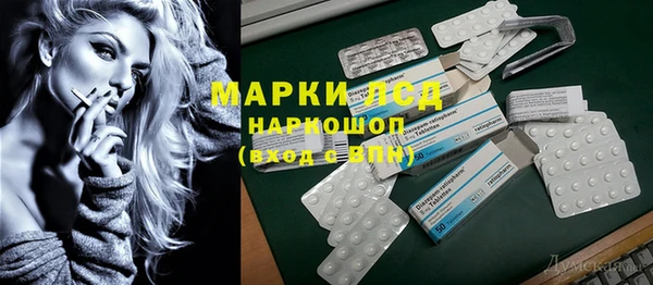 ГАЛЛЮЦИНОГЕННЫЕ ГРИБЫ Гусев