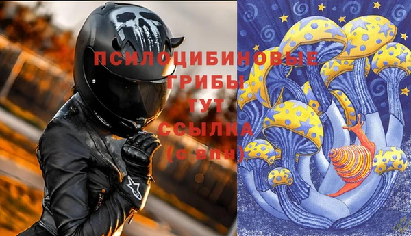 мяу мяу мука Алексин